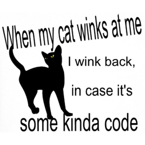 Cat wink code Thumbnail